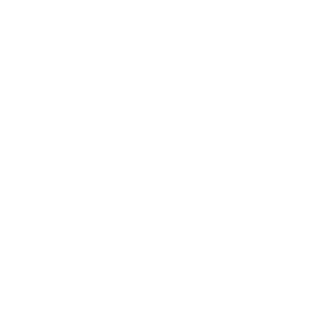 Logo Branca Vertical KVMT